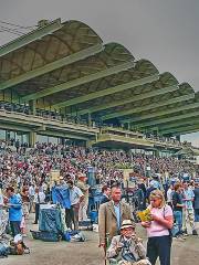 Goodwood Racecourse