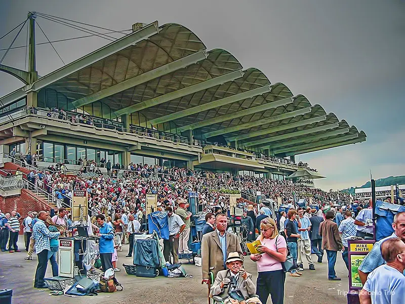 Goodwood Racecourse