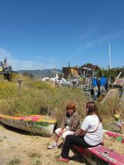 Adventure Playground