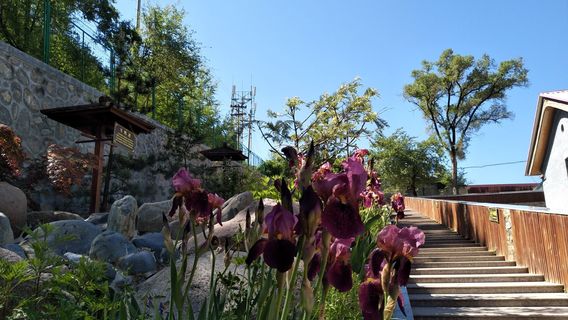 Gansu Wushan Kuangquan Nursing Home