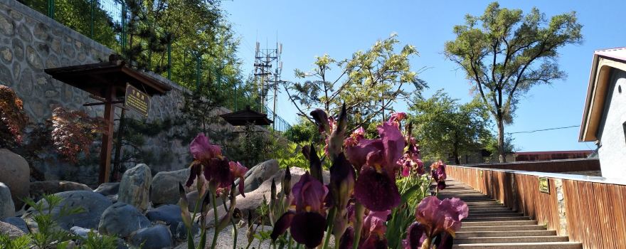 Gansu Wushan Kuangquan Nursing Home