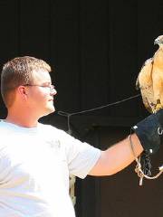 Minnesota State Fair