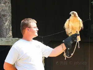 Minnesota State Fair