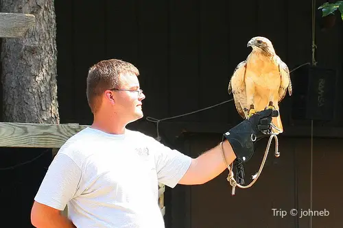 Minnesota State Fair