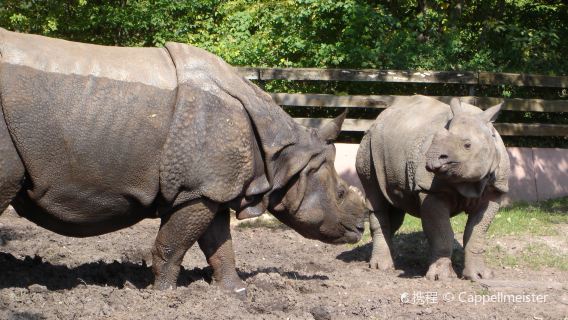 Nuremberg Zoo