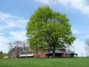 Shelburne Farms