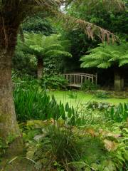 National Trust - Trengwainton Garden
