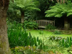 National Trust - Trengwainton Garden