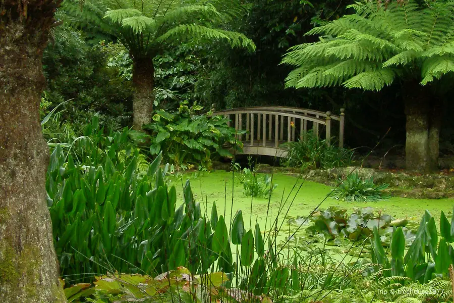 National Trust - Trengwainton Garden