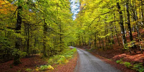 Cattus Island County Park