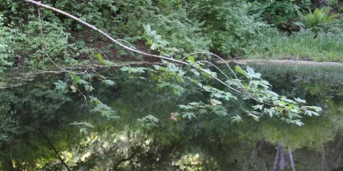 Garland Ranch Regional Park