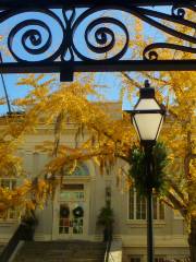 Charleston Library Society