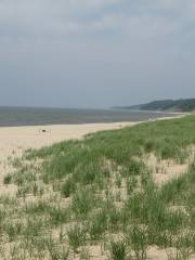 Saugatuck Dunes State Park