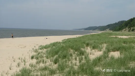 Saugatuck Dunes State Park