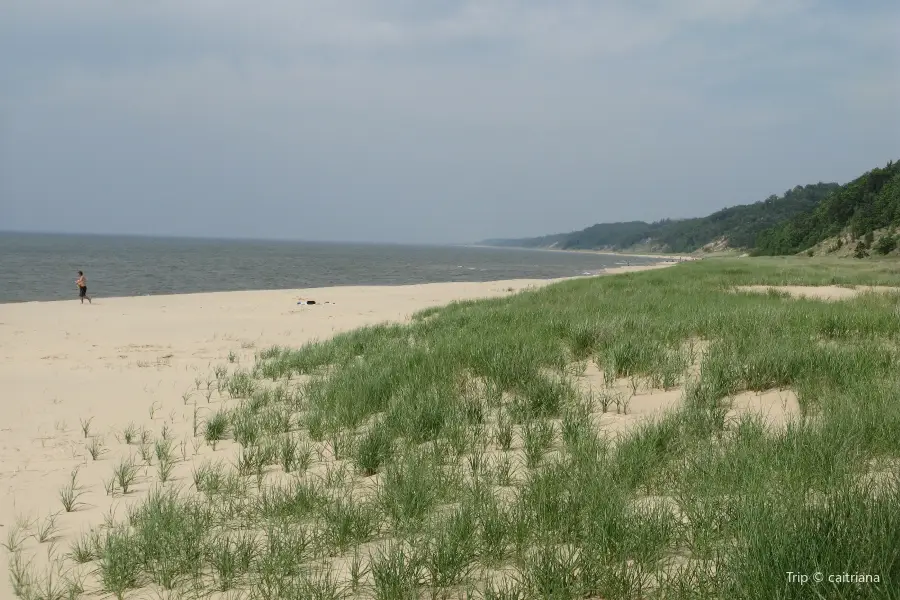 Saugatuck Dunes State Park