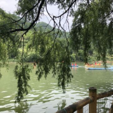 評論圖片 9