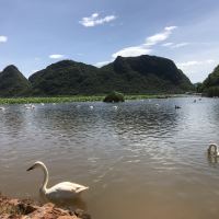 評論圖片 3