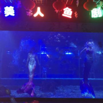 評論圖片 3