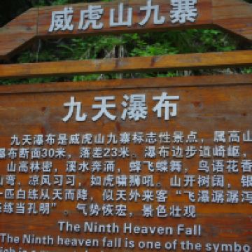 評論圖片 3
