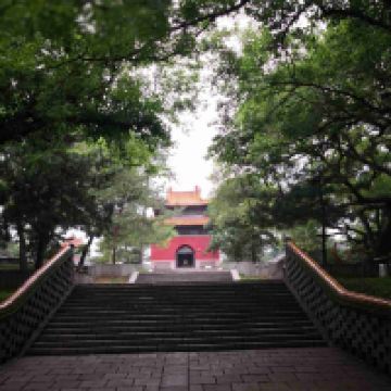 評論圖片 2