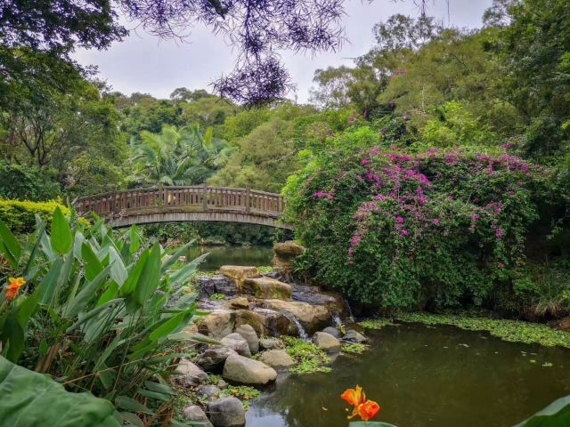 Xiamen University