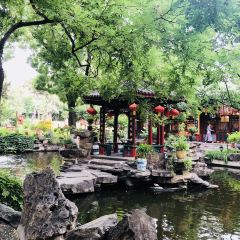 Bai Jia Da Yuan Restaurant User Photo