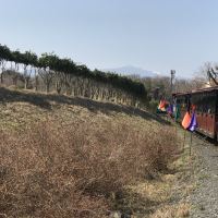評論圖片 9