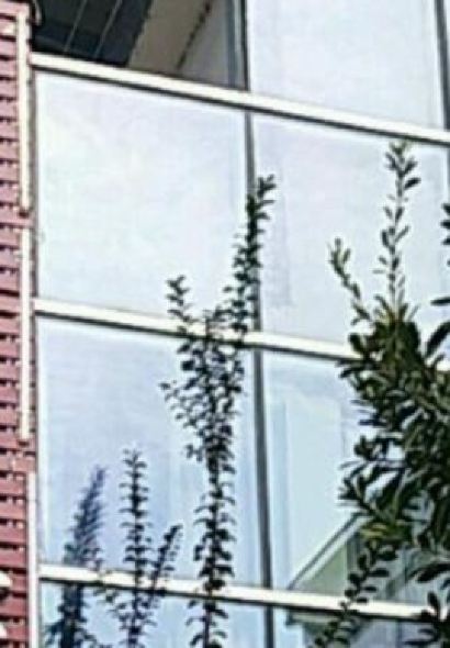 望牛山庄私房菜