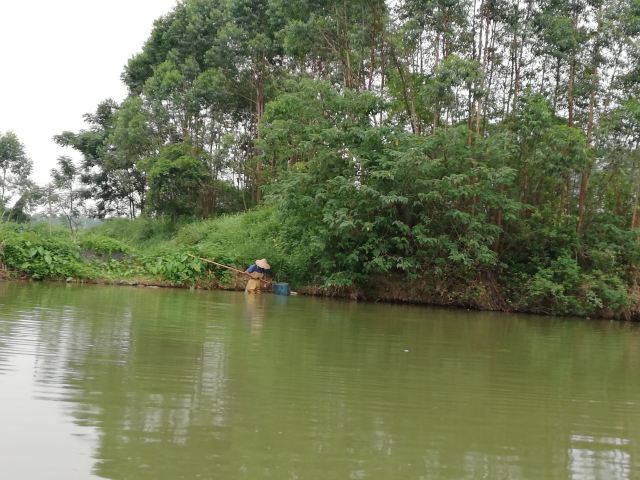 White Pagoda Park