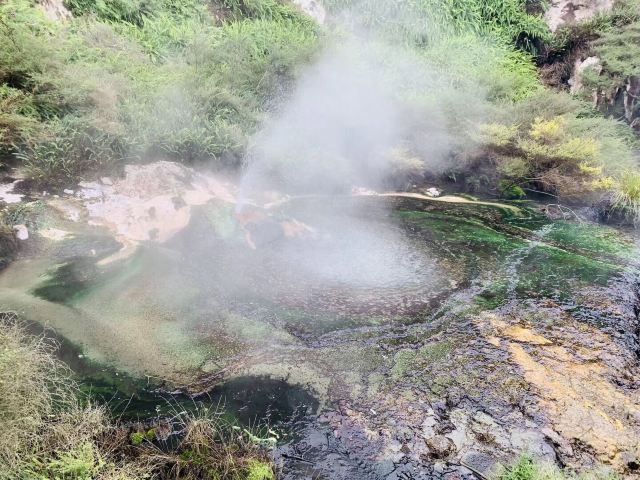 Waimangu Volcanic Valley