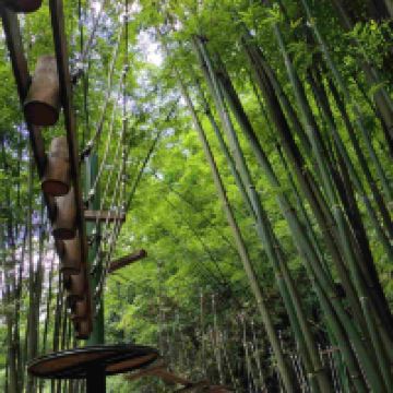 評論圖片 4