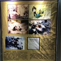 評論圖片 6