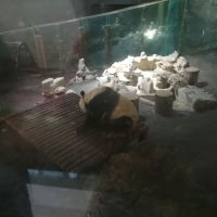 評論圖片 8