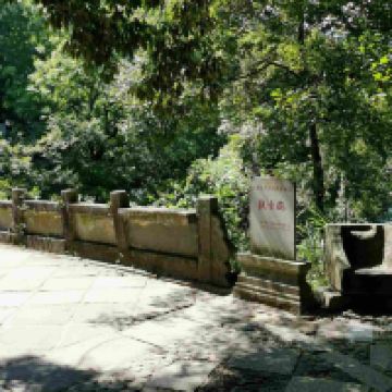 評論圖片 5