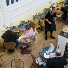 White Rose Books and Coffee Bar User Photo