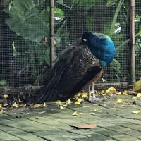 評論圖片 3