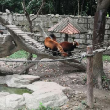 評論圖片 9