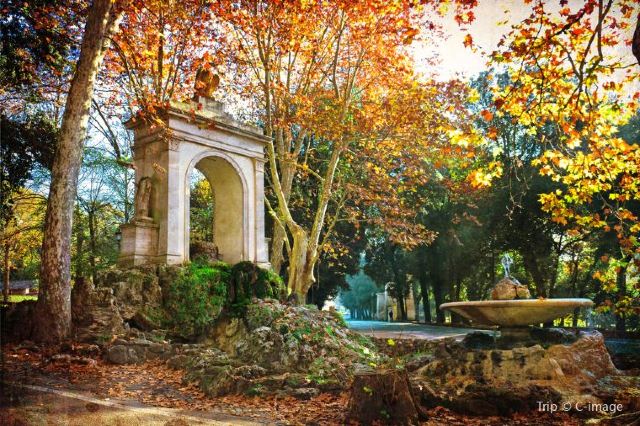Local Guide to Rome: Best Things to do in 2020