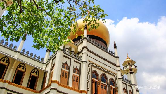 マーライオン+フォートカニング+チャイムス+ハジレーン+リトルインディア【月間販売100+】