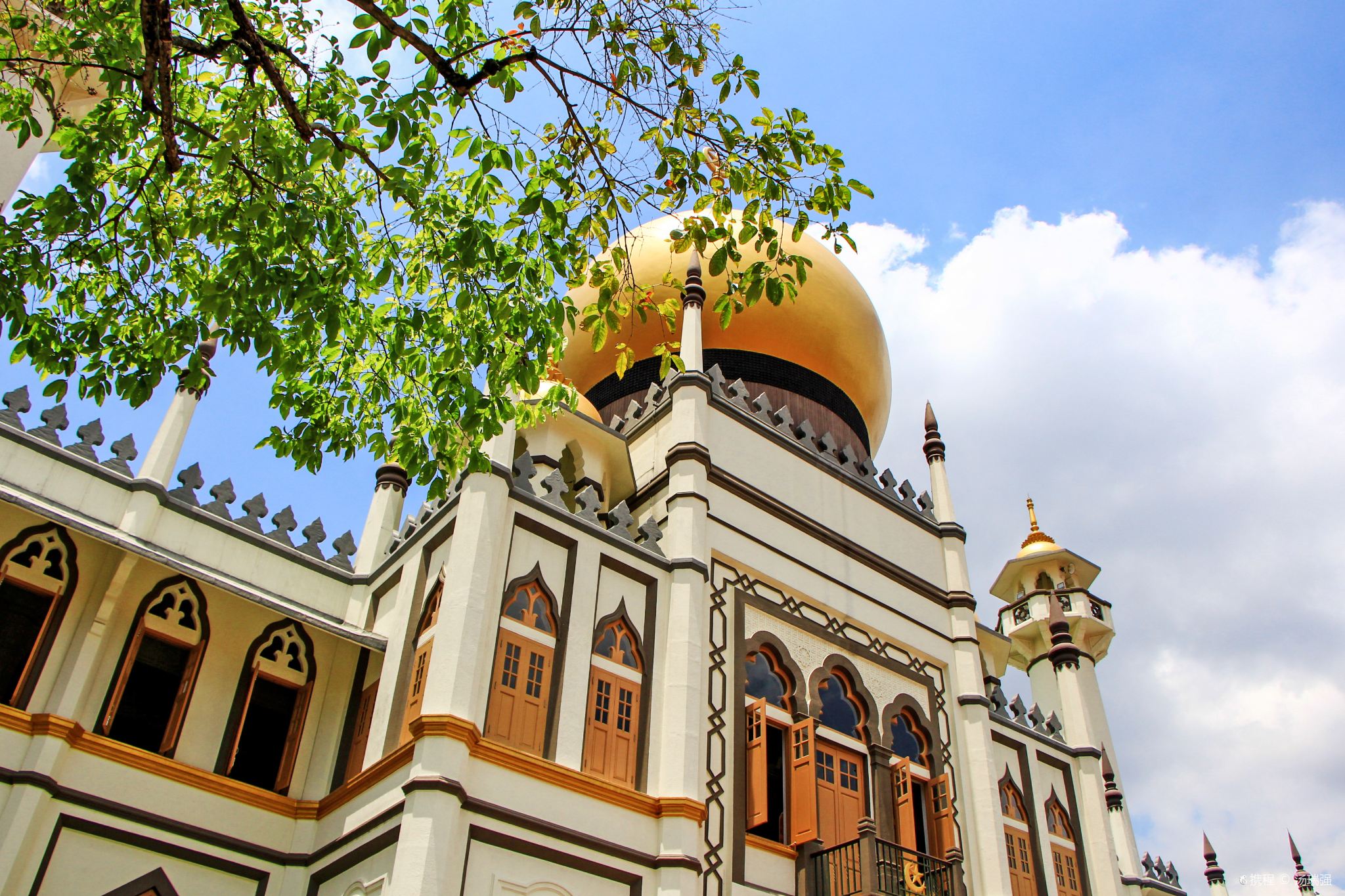 Merlion + Fort Canning + CHIJMES + Haji Lane + Little India [100+ Verkäufe pro Monat]