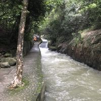 評論圖片 7