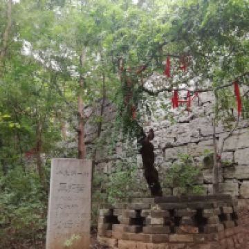 評論圖片 5