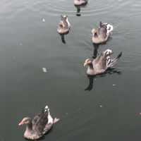 評論圖片 1