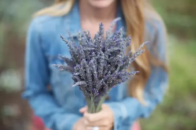 繽紛夏威夷 | 如何玩轉彩虹州，這幾種顏色告訴你！