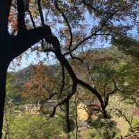 評論圖片 5