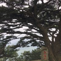 評論圖片 6
