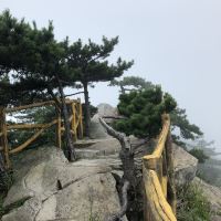 評論圖片 4