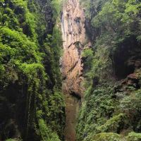 評論圖片 3