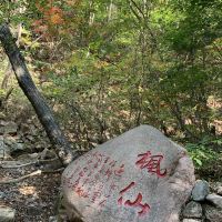 評論圖片 8