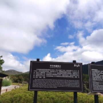 評論圖片 6
